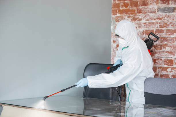 Best Emergency Mold Remediation  in West Valley City, UT